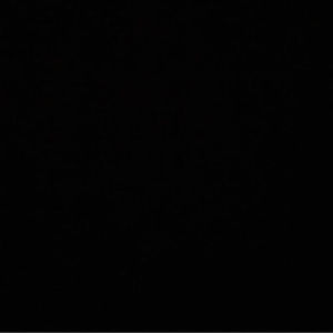 Meet your Posher, Bradley